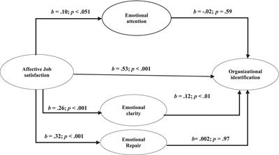 The mediating role of perceived emotional intelligence: examining the impact of affective job satisfaction on organizational identification among Chinese technological workers